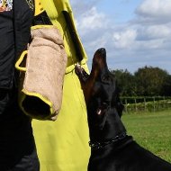 Dog Bite Arm Sleeve with Jute Cover for Advanced Training