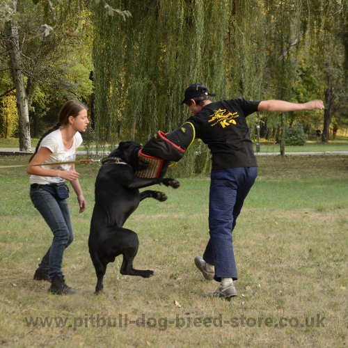 Pitbull
Training Bite Sleeve