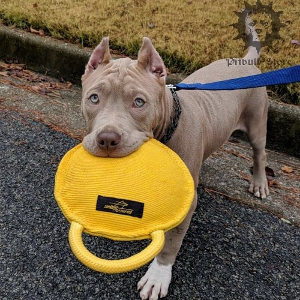 Dog Christmas Sale