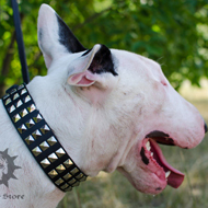 Designer Dog Collar with 3 Rows of Pyramids for Bull Terrier