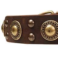 Dog Collar Trends with "Gold" Conchos and Studs for Amstaff