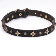 "Milky Way" Stylish Dog Collar with Stars