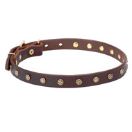 Dog Collar with Stars, Narrow Real Leather Strap, Brass Hardware