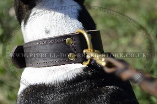 Strong Dog Collar