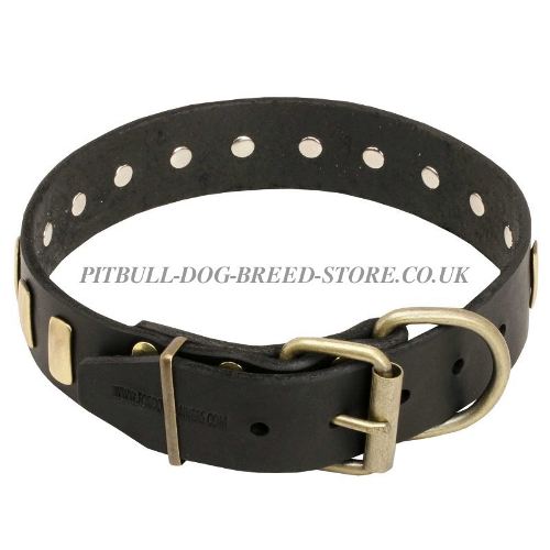 Dog Collars Boutique