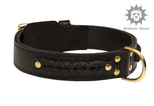 Braided Dog Collar