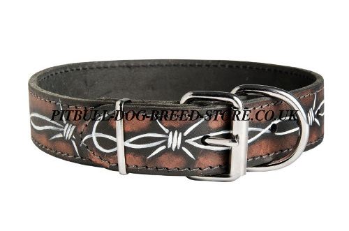 Leather Dog Collar