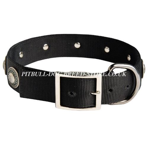 Nylon Dog Collar UK