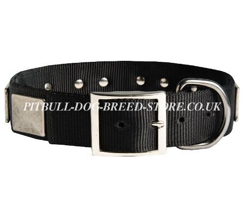 Amstaff Collar