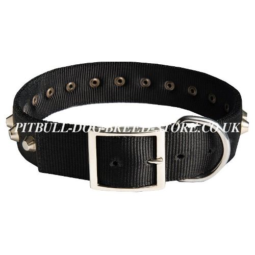 Nylon Dog Collar UK