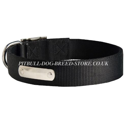 Personalized Dog Collar