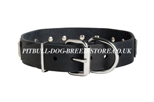 Leather Dog Collar UK