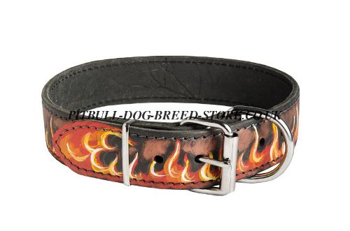 Designer Dog Collars