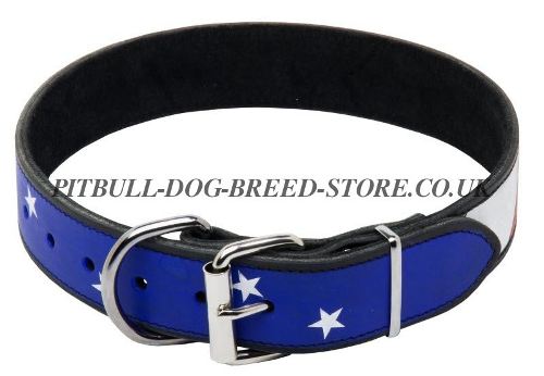 Handmade Dog Collar