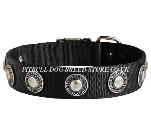 Nylon Dog Collar UK