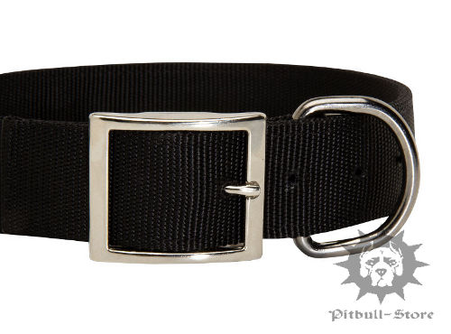 Pitbull Collar