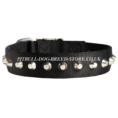 Nylon Dog Collar