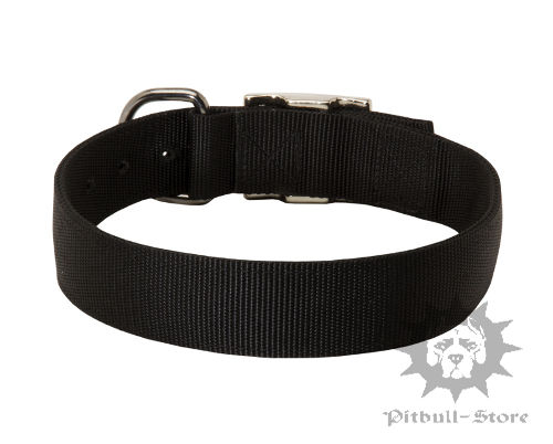 Nylon Dog Collar