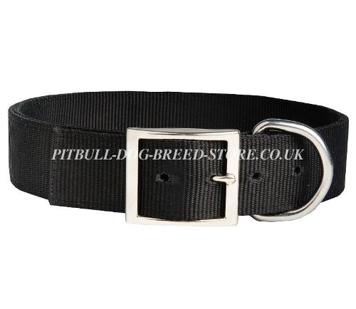 Dog Collar Name Plate