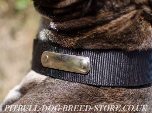 Dog Collar ID Tag