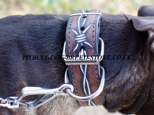 Pitbull Dog Collars