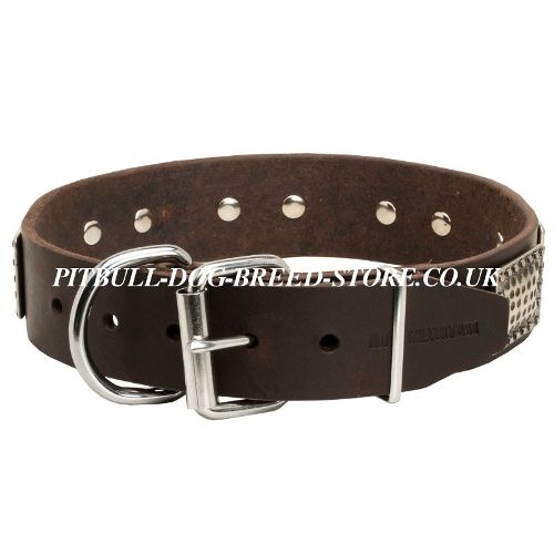 Vintage Dog Collar