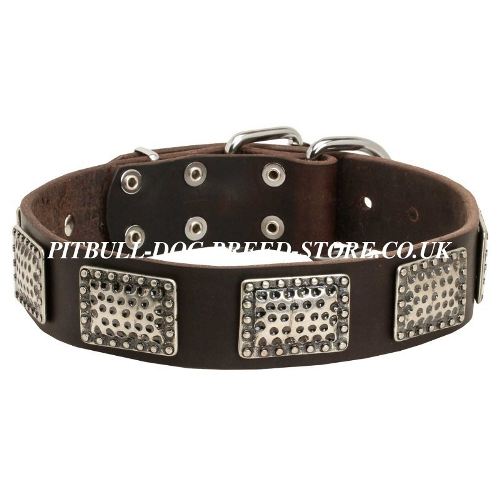 Handmade Dog Collar