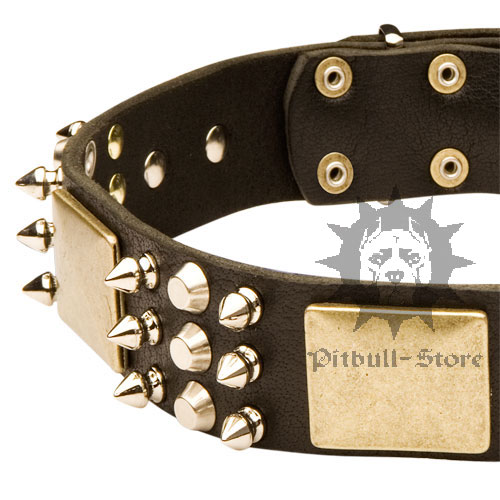 Spiked Dog Collar