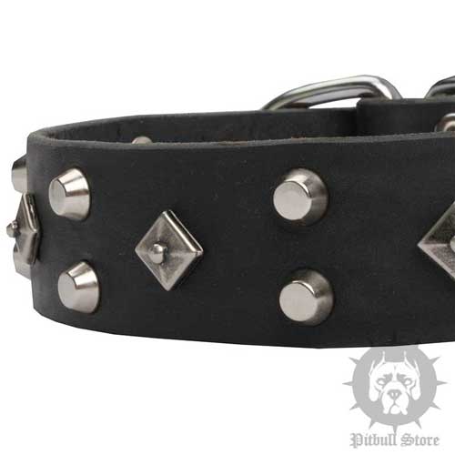 Designer Studded Dog Collar 