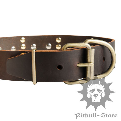 Amstaff Collar