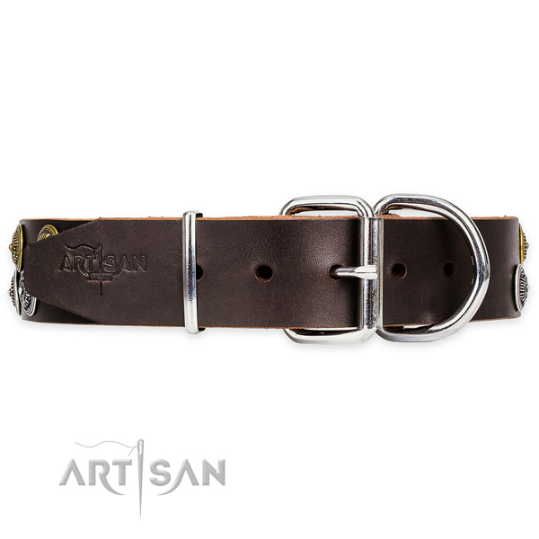 Awesome Dog Collars for Big Dogs 