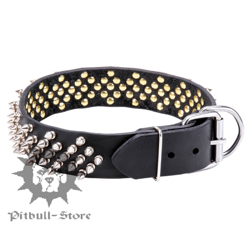 Funky Dog Collar