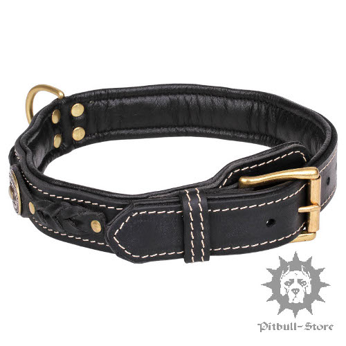 Best Dog Collar