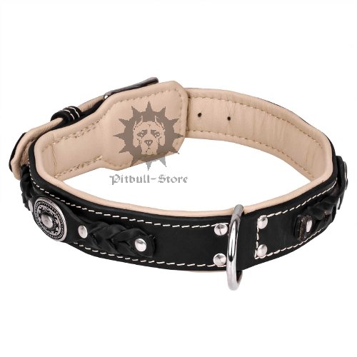 Leather Pitbull Collar