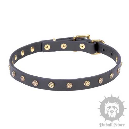 Dog Collar with Stars