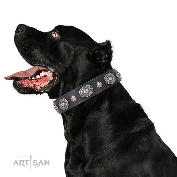 Black Leather Dog Collar