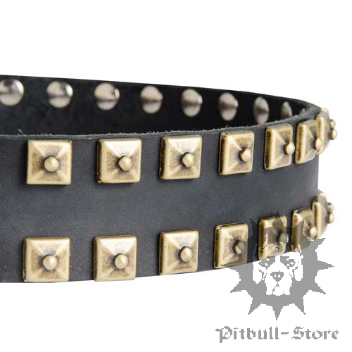 Studded Dog Collar