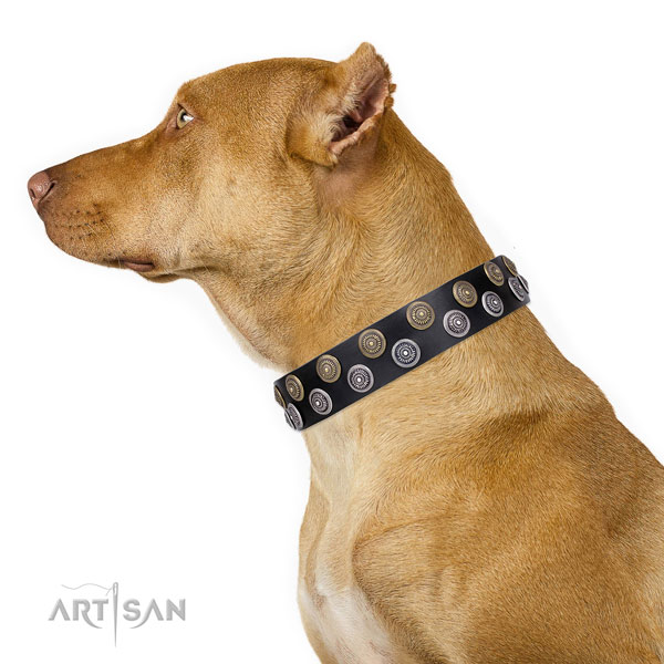 Black Leather Dog Collar