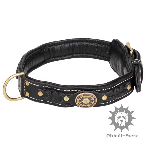 Padded Dog Collar