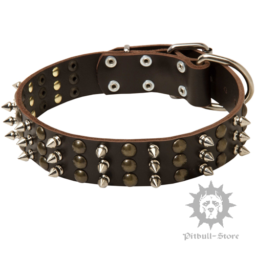 Brand Dog Collar