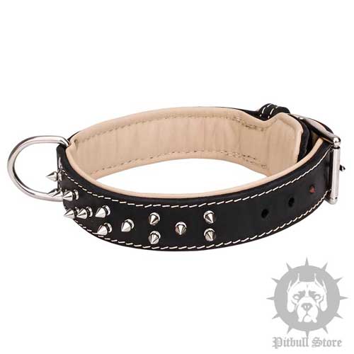 Brand Dog Collar