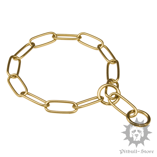 Pitbull Gold Chain Collar