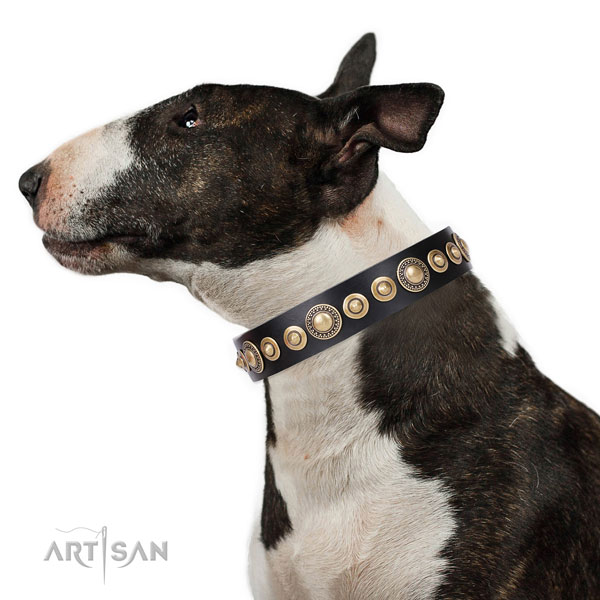 Brass Studded Dog Collar