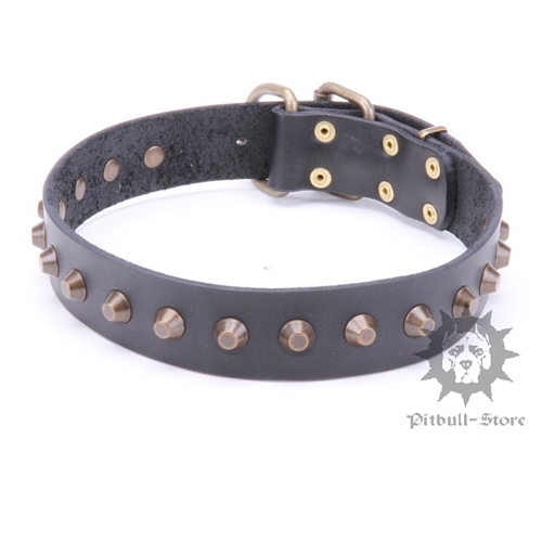 Cane Corso Leather Collar