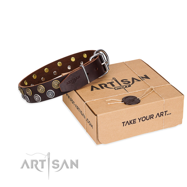 Brown Dog Collar