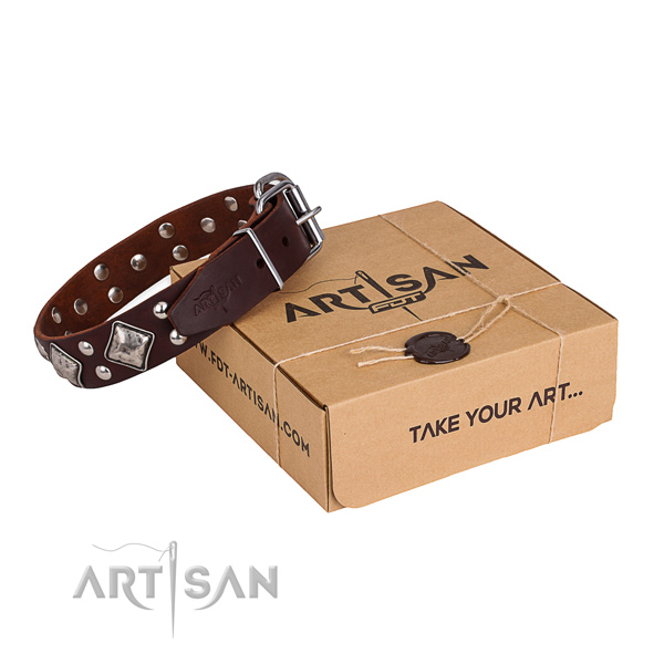 Brown Dog Collar