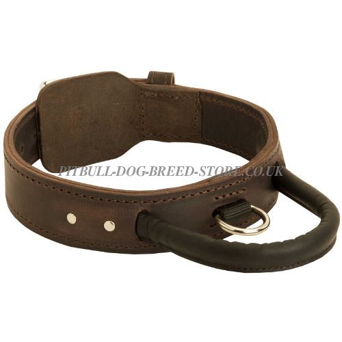 Agitation Dog Collar with Handle for Stafford