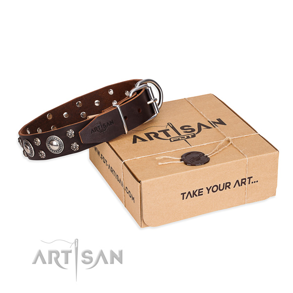 Brown Leather Dog Collar