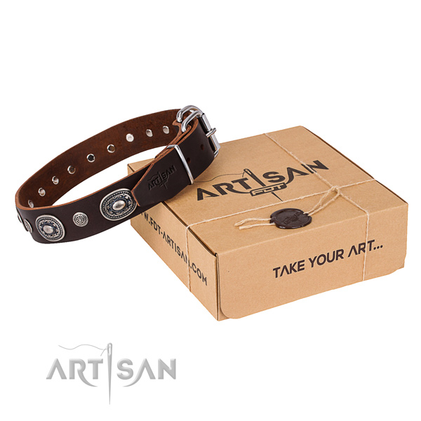 Brown Leather Dog Collar