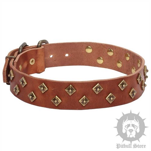 Brown Leather Dog Collar with Studs